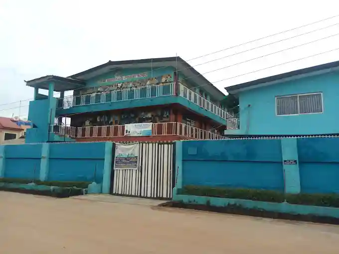 school