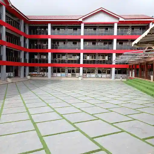 school
