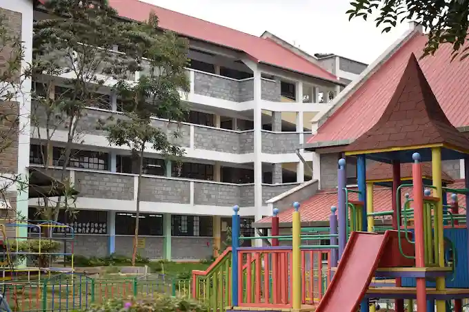 school