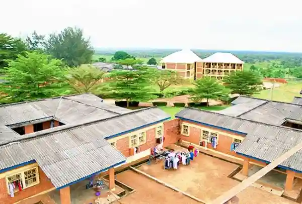 school