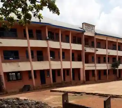 school