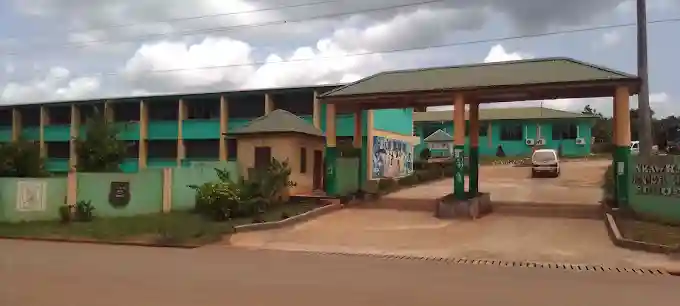 school
