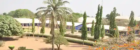 school