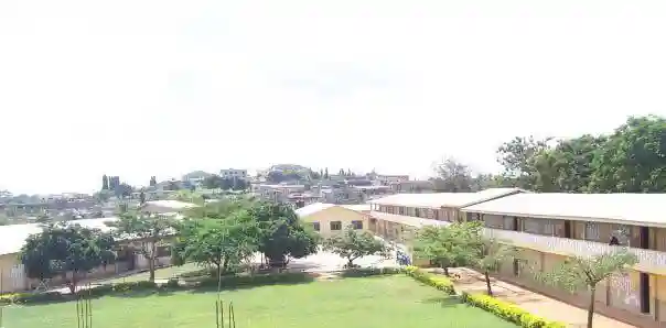 school